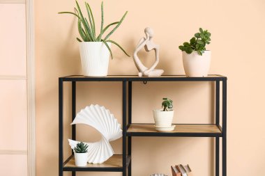 Odada bej duvarın yanında sulu bitkiler olan raf ünitesi.