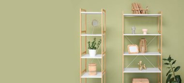 Oturma odasındaki yeşil duvarın yanında ev bitkisi ve farklı dekor bulunan raflar.