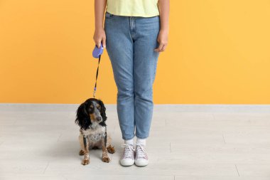 Evde evcil hayvanı olan köpek bakıcısı.