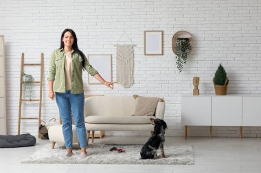 Bayan köpek bakıcısı evcil hayvanı eğitiyor.
