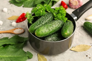 Taze salatalıklı tencere grunge arka planda korunması için.