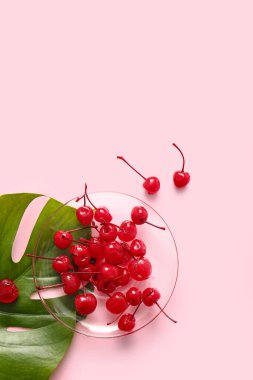 Pembe arka planda lezzetli maraska kirazlı tabak.