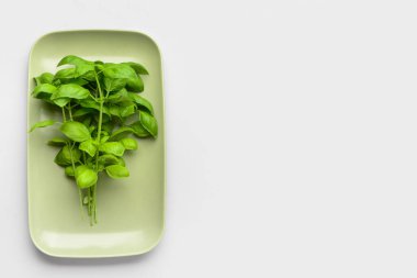 Gri arka planda taze yeşil fesleğen tabağı