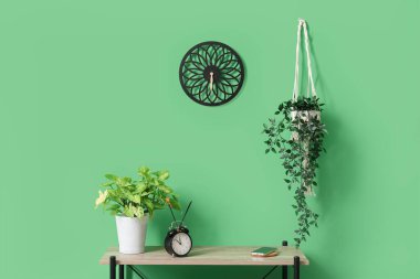 Yeşil duvarın yanında ev bitkileri ve çalar saati olan raf ünitesi.