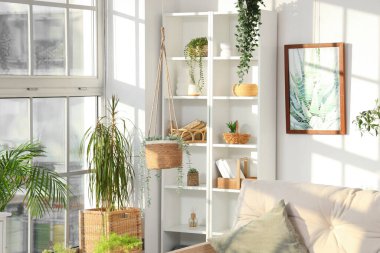 Yeşil bitkiler ve raf ünitesiyle aydınlık oturma odasının içinde.