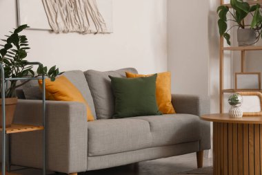 Rahat kanepesi olan bir oturma odası.