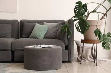 Siyah kanepe, yastık, saksı ve puf olan modern oturma odası.