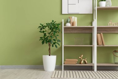 Rafa kaldırma ünitesi, çiçek ve resim yeşil duvarda şık bir odada.