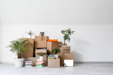 Taşındığı gün beyaz duvarın yanındaki ışık odasında saksılar ve karton kutular.