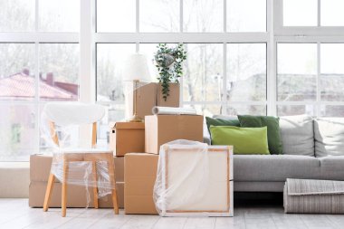 Mobilyalar, ev bitkisi ve karton kutular yeni dairede. Taşınma konsepti