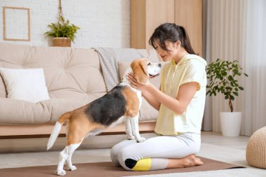 Oturma odasında yoga minderinde sevimli Beagle köpeği olan genç ve sportif bir kadın.