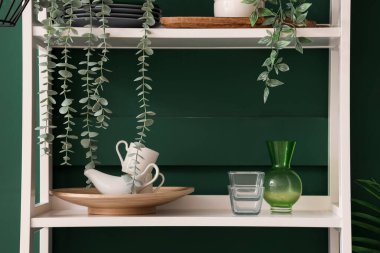 Salonda yeşil arka planda bitkiler ve tabaklarla raflar