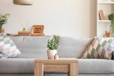 Aroma yayıcı ve ev bitkisi ahşap masa üzerinde ve oturma odasının içindeki rahat kanepe