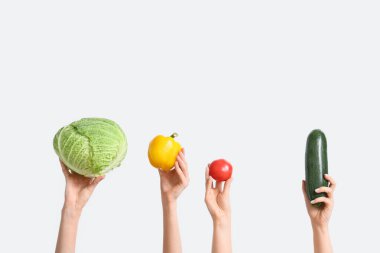 Female hands holding fresh vegetables on white background