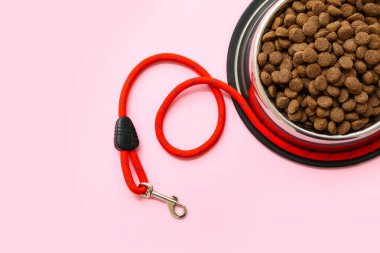 Kuru hayvan maması ve pembe arka planda tasma ile kase