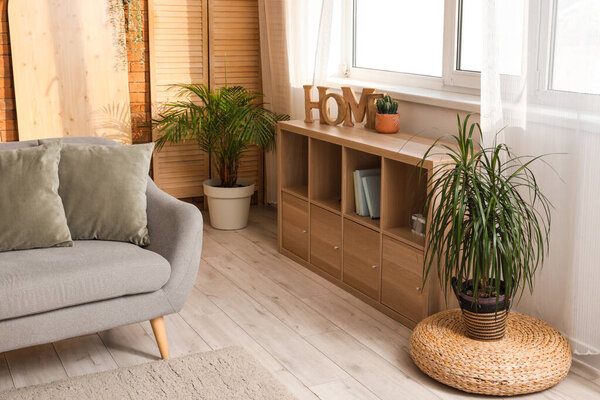 Interior of loft style living room with grey sofa and houseplants
