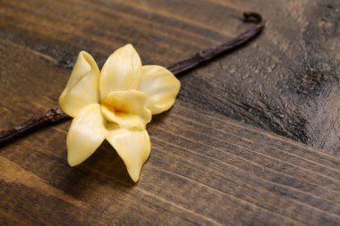 Güzel vanilya çiçeği ve tahta zemine yapış