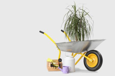 Bahçe aletleri ve bitki beyaz arka planda el arabası
