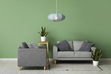 Gri kanepeli şık bir oturma odası, çiçek, koltuk ve modern asılı lamba.