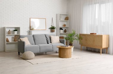 Gri kanepesi ve farklı bitkileri olan modern şık oturma odasının içinde.