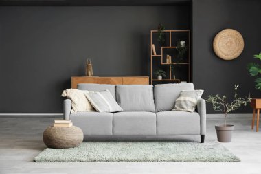 Kanepesi ve halısı olan şık bir oturma odası.