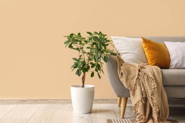 Yastıklı, ekoseli ve bej duvarlı gri kanepe.