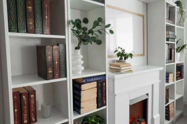 Ev kütüphanesindeki raf ünitesi üzerine kitaplar