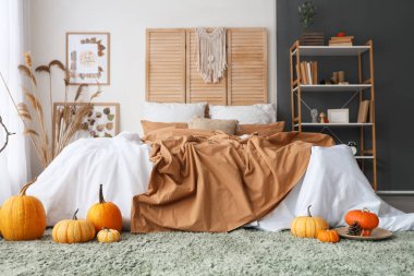 Yatak odasının içinde raf ünitesi, otlar ve balkabakları var.