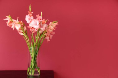 Masanın üzerinde pembe arka planda bir buket güzel gladiolus çiçeği olan cam vazo.