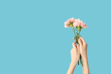 Mavi arka planda güzel karanfilleri olan kadın elleri.