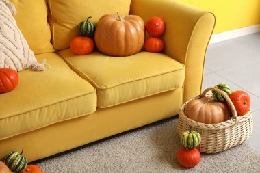 Oturma odasının içi sarı kanepe ve farklı balkabaklarıyla dolu hasır sepet.