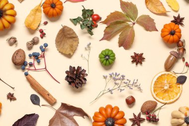 Balkabağı şeklinde mumlar, sonbahar yaprakları ve bej arkaplanda böğürtlenler