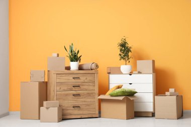 Yeni oturma odası, çekmeceler, ev bitkileri ve karton kutularla dolu. Taşınma konsepti