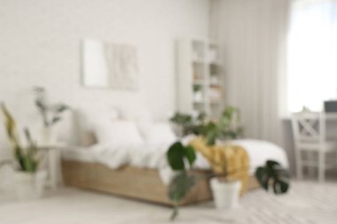 Yeşil bitkiler ve raf ünitesiyle aydınlık yatak odasının bulanık görüntüsü