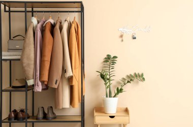 Raflar, ev bitkisi ve anahtar taşıyıcısı bej duvarlı şık bir salonun içinde.