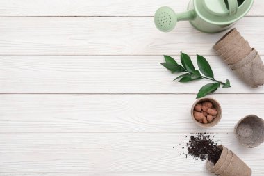 Sulama kabı, toprak ve bitki dolu turba kapları beyaz ahşap arka planda. Üst görünüm