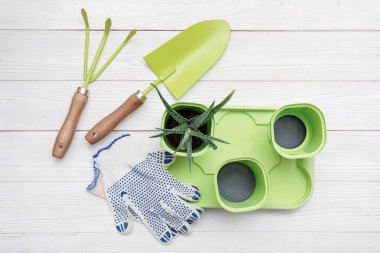 Tencerede sulu ve beyaz ahşap arka planda bahçe aletleri. Üst görünüm