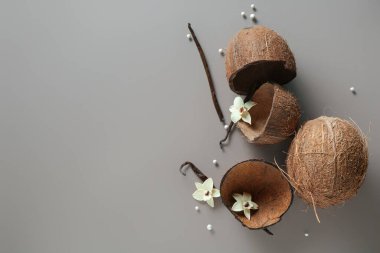 Renkli arkaplanda vanilya çubukları, çiçekler, hindistan cevizi ve kabukları olan kompozisyon