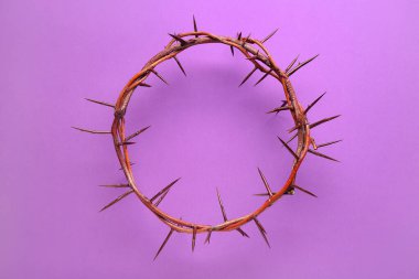 Mor arka planda dikenli taç