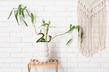 Bambu saplı vazo ve hafif tuğla duvarda asılı şık bir dekor.