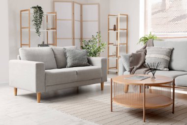 Oturma odasının içinde gri kanepeler, kahve masası, ev bitkileri ve beyaz duvarın yanındaki katlanan ekran.