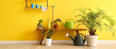 Bahçe aletleri, raf ve bank ile atölyenin içi