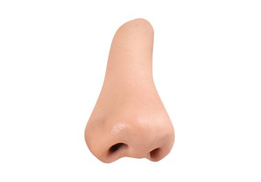 Beyaz arka plan üzerinde insan burun