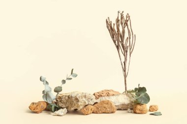 Renkli arkaplanda dekoratif taş podyumları ve kurumuş bitkilerle kompozisyon