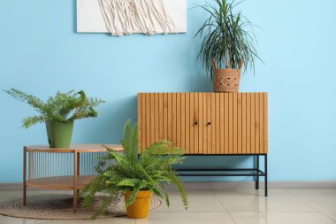 Ev bitkileri, çekmeceler ve masalarla dolu bir oda.