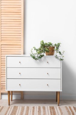 Işık odasındaki çekmecelerin üzerindeki yeşil bitki