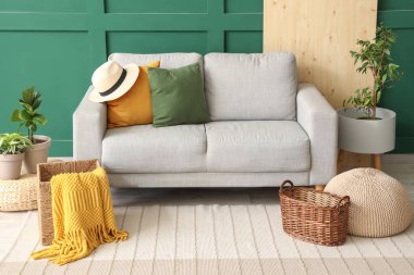 Gri kanepesi, sepetleri ve bitkileri olan şık bir oturma odası.