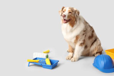 Açık arkaplanda sevimli köpek ve dekoratör araçları