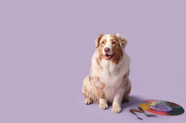 Leylak arka planında sanatçı malzemeleri olan sevimli bir köpek.