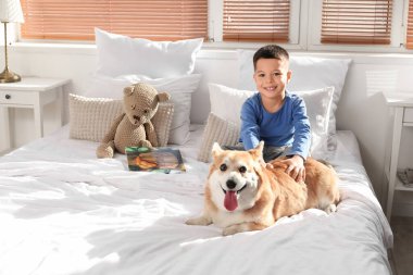 Küçük mutlu Asyalı çocuk, şirin Corgi köpeği ve oyuncak ayısıyla evde oturuyor.
